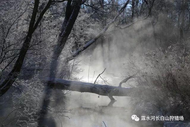 拥有全能表现的黄磊,切换着各种身份,总是能做出更多突破