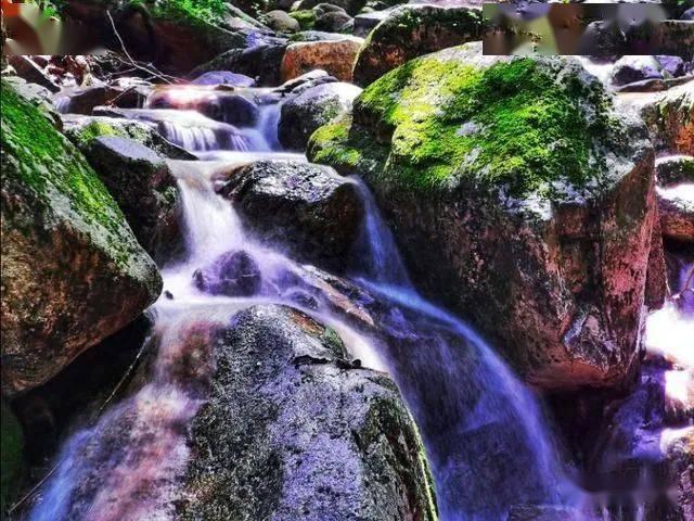 春雨直播app