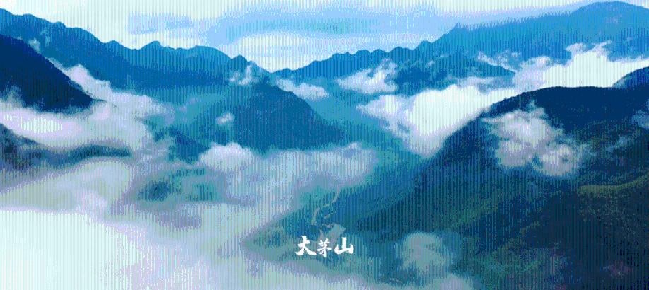 救援中世纪女王
