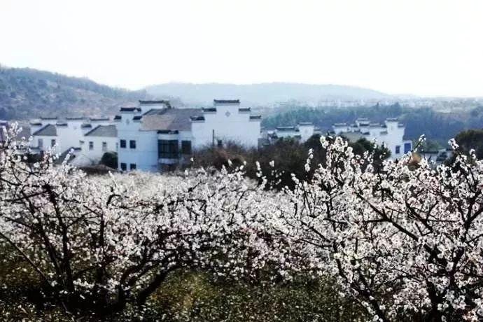 岳飞抗金的金是什么民族?游戏画面
