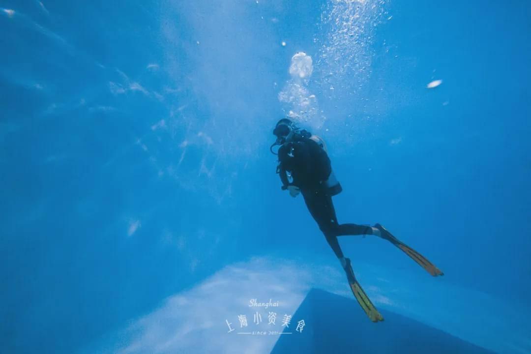 逗小猴开心系列195