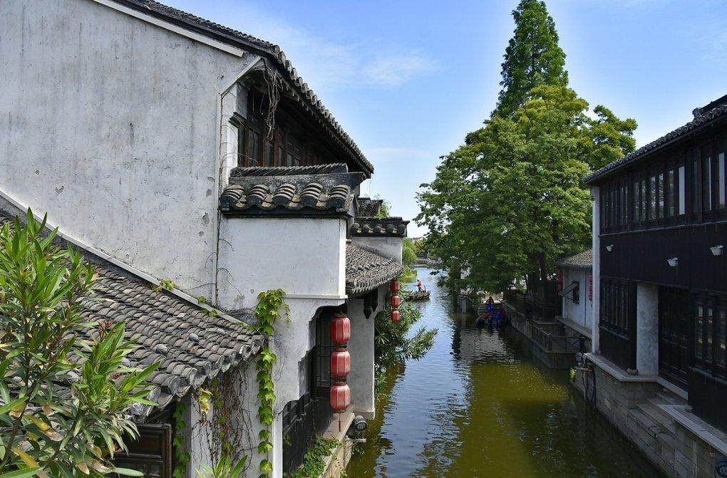 植物大战僵尸3