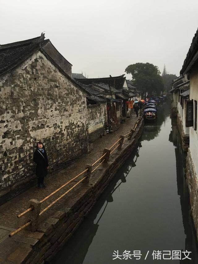 小长颈鹿逃离