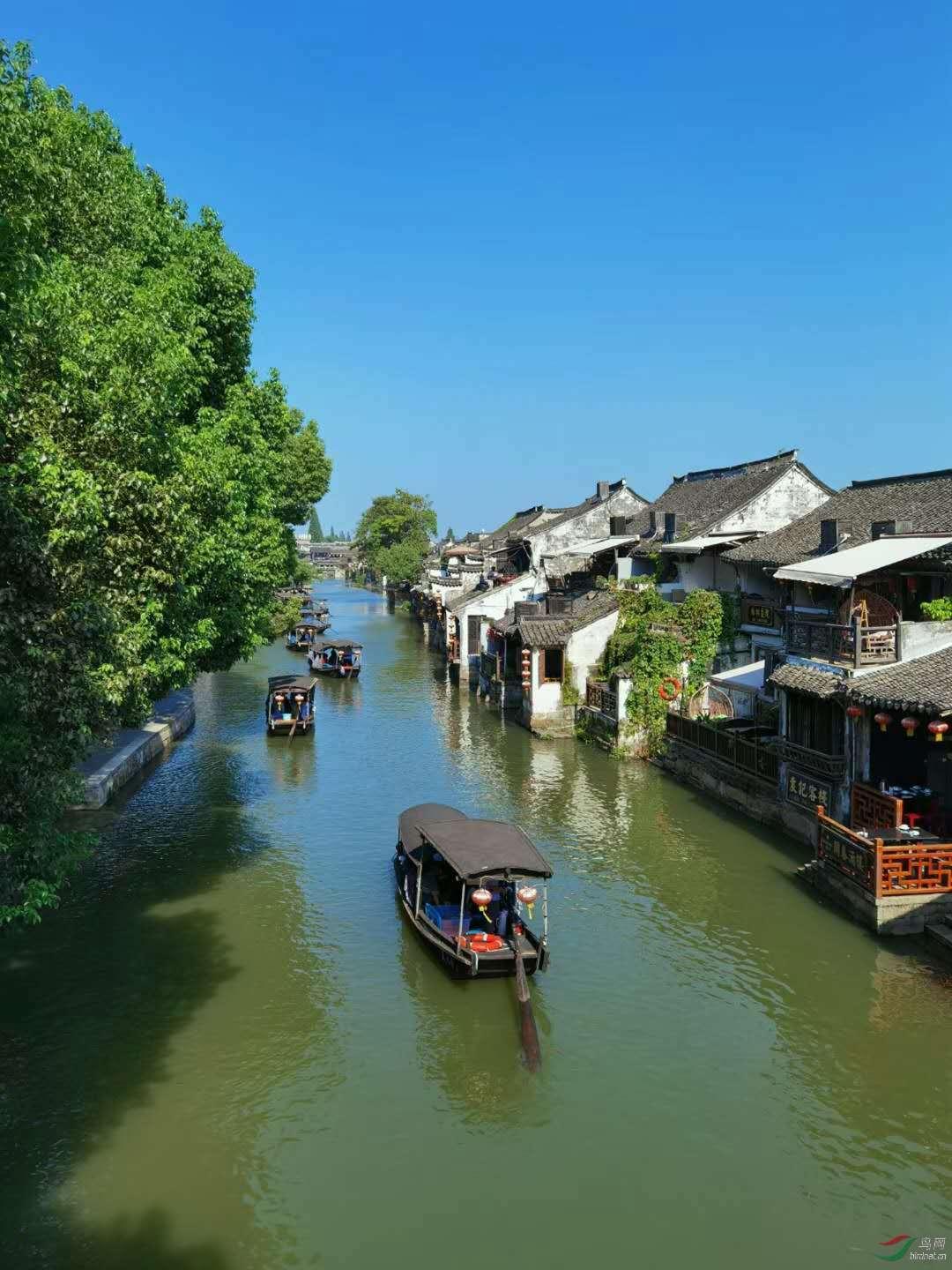 空洞骑士